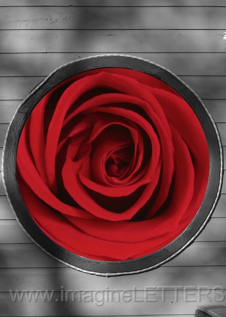 Wall_Art_Alphabet_Photography_Art_ 317.jpg